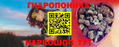 спиды Будённовск
