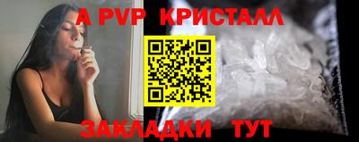 спиды Будённовск