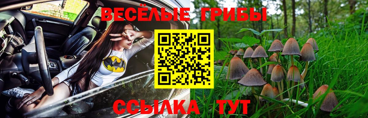 Назарово  Галлюциногенные грибы Magic Shrooms  Псилоцибиновые грибы Magic Shrooms  купить наркотик  Вход с VPN 